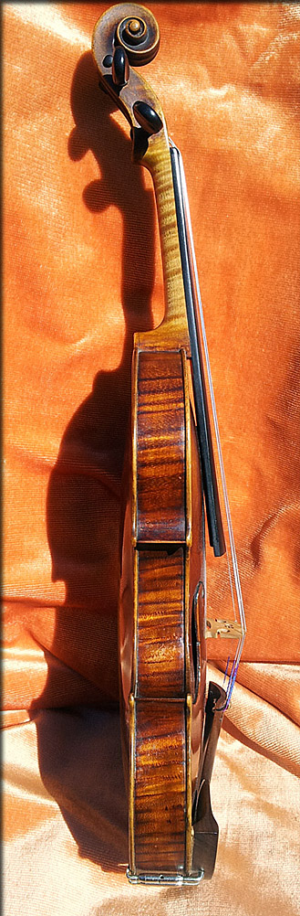 violon francesco Gobetti 1714 profil
