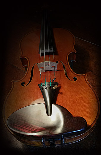 mentonniere speciale