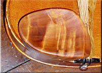 mentonniere violon latérale plate