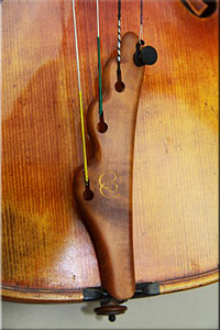 cordier violon Pro Gram